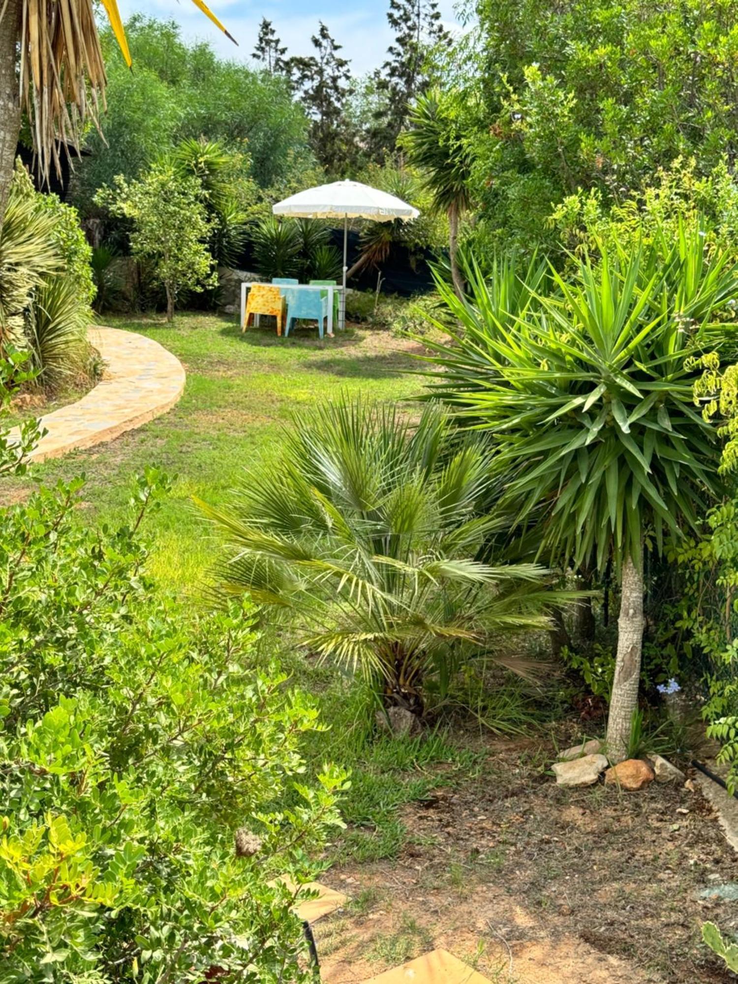 聖安東尼奧Micasa Ibiza别墅 外观 照片
